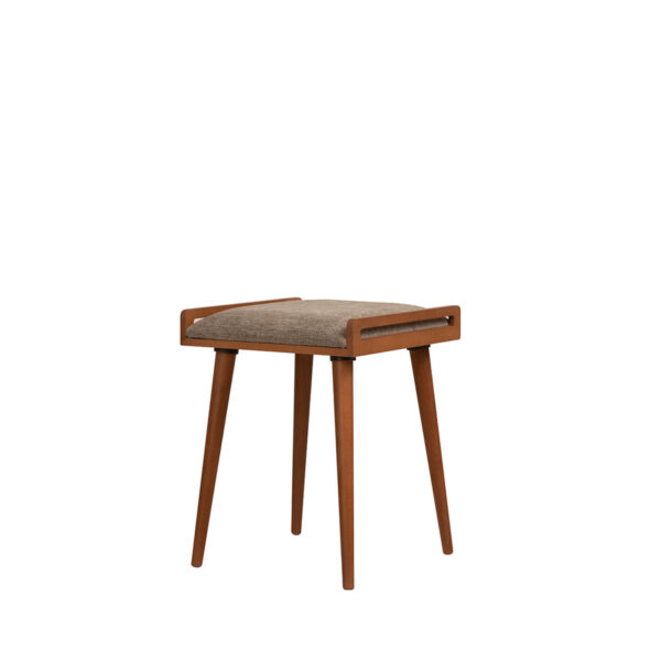 چهارپایه رابین